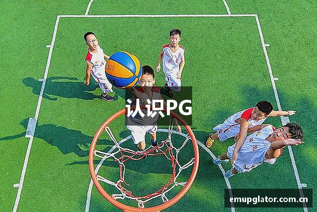 认识PG